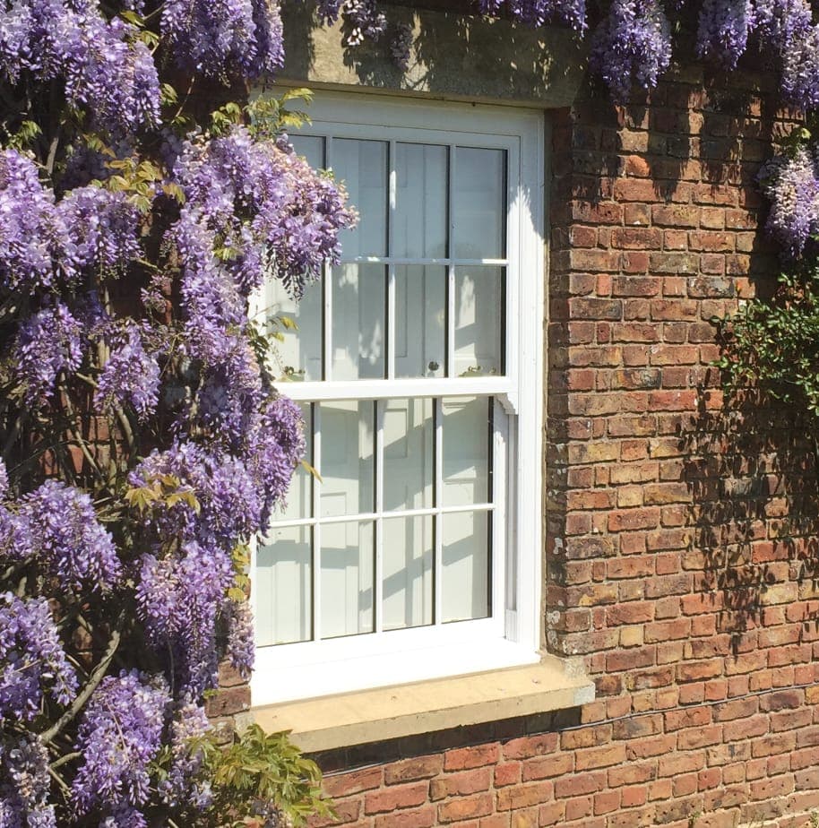 White sliding sash window with glazing bars and a stone sill, framed by flowering wisteria